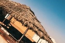 مخيم الخزامى