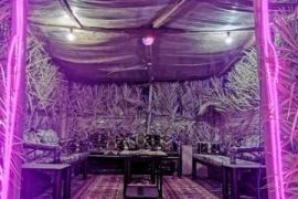 مخيمات الثمامة