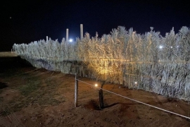 مخيم للايجار