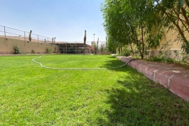 مسطحات خضراء مسطحات خضراء