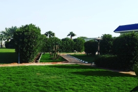 مسطحات خضراء الرياض حي الرمال 