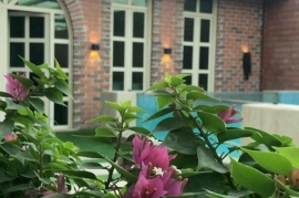 شاليه أوراق شاليه أوراق