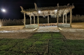 مخيم الماسة - زرع طبيعي