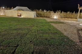 موسم التخييم