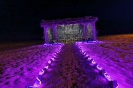 عريش في المخيم