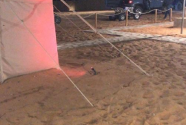 مخيمات الثمامة