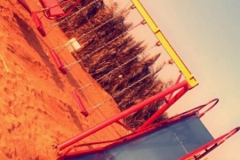 مخيم الفخامة الملكي - العاب اطفال