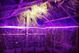 مخيم ألوان , مخيمات قريبة وفخمة