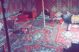 المخيم الشعبي