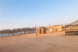 المخيم الشعبي