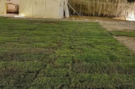 مخيم ليالي نجد, مخيمات الرياض 