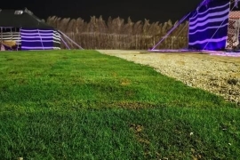 مخيم ليالي نجد, مخيمات الرياض 