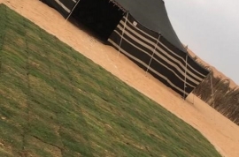 مخيم ليالي نجد, مخيمات الرياض 