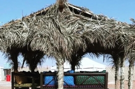 مخيمات نسناس الهواء, افضل مخيم 