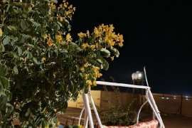 مخيمات الرياض